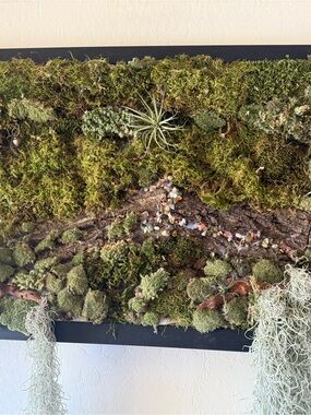 Source Unknown Moss and Air Plant Wall Panel in Green and Brown